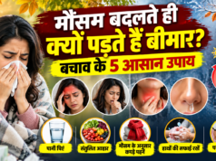 मौसम बदलते ही क्यों बीमार पड़ जाते हैं लोग? जुकाम-खांसी से बचने के 5 आसान उपाय नोट कर लें मौसम बदलने पर जुकाम खांसी और एलर्जी से बचाव के 5 हेल्थ टिप्समौसम बदलने पर जुकाम खांसी और एलर्जी से बचाव के 5 हेल्थ टिप्स